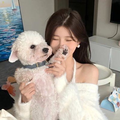 彗星美人